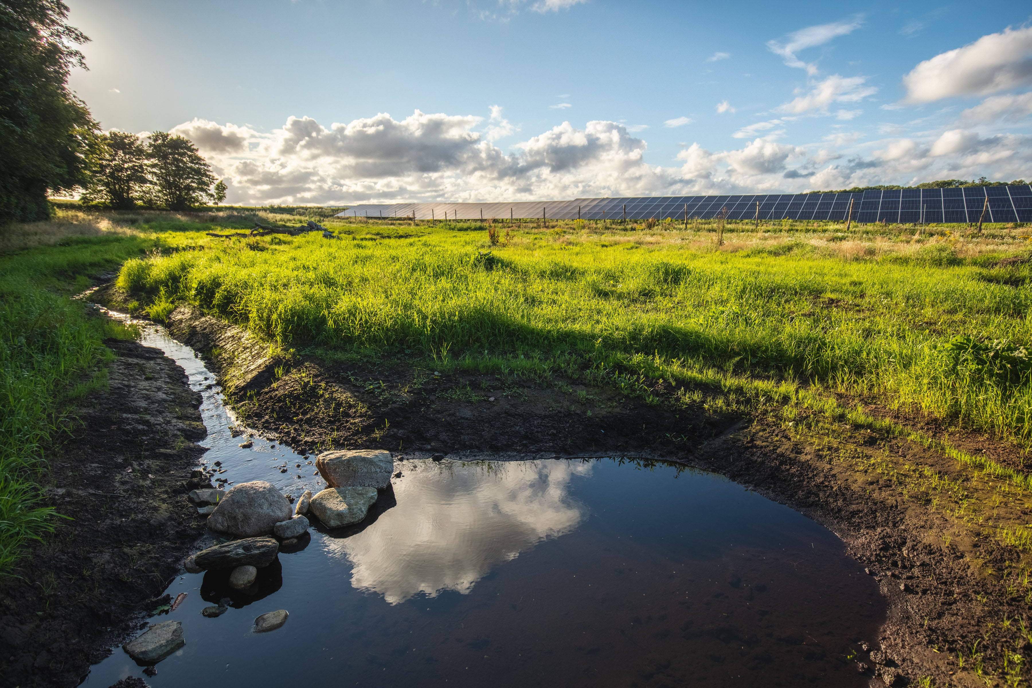 Image of solar panels, grass and open stream