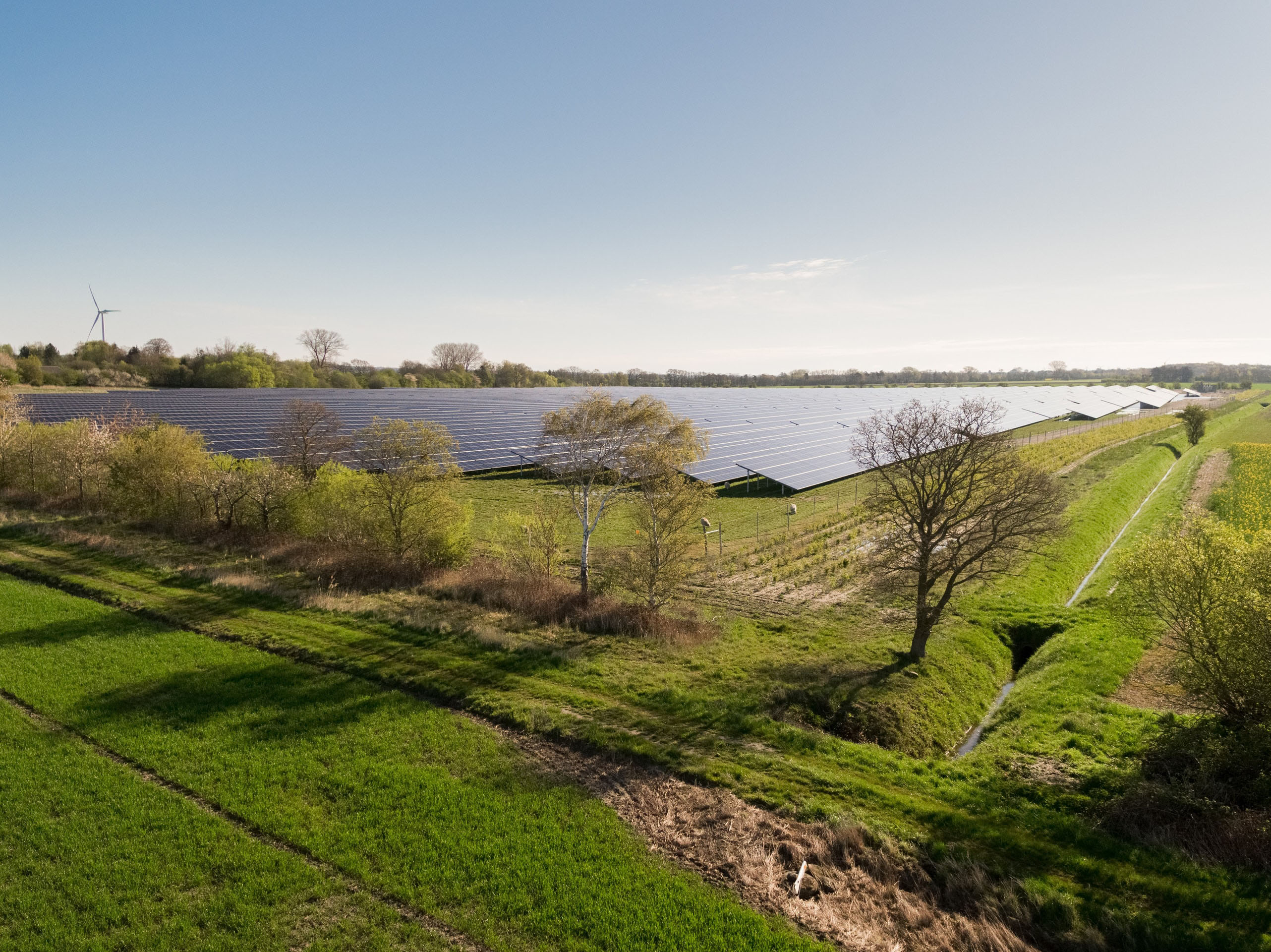 Image of a solar park in daylight. 