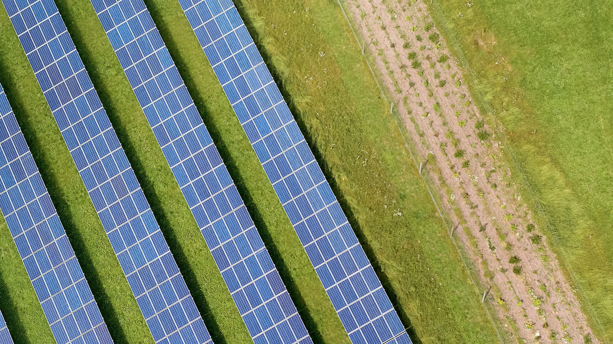 Solar panels from above