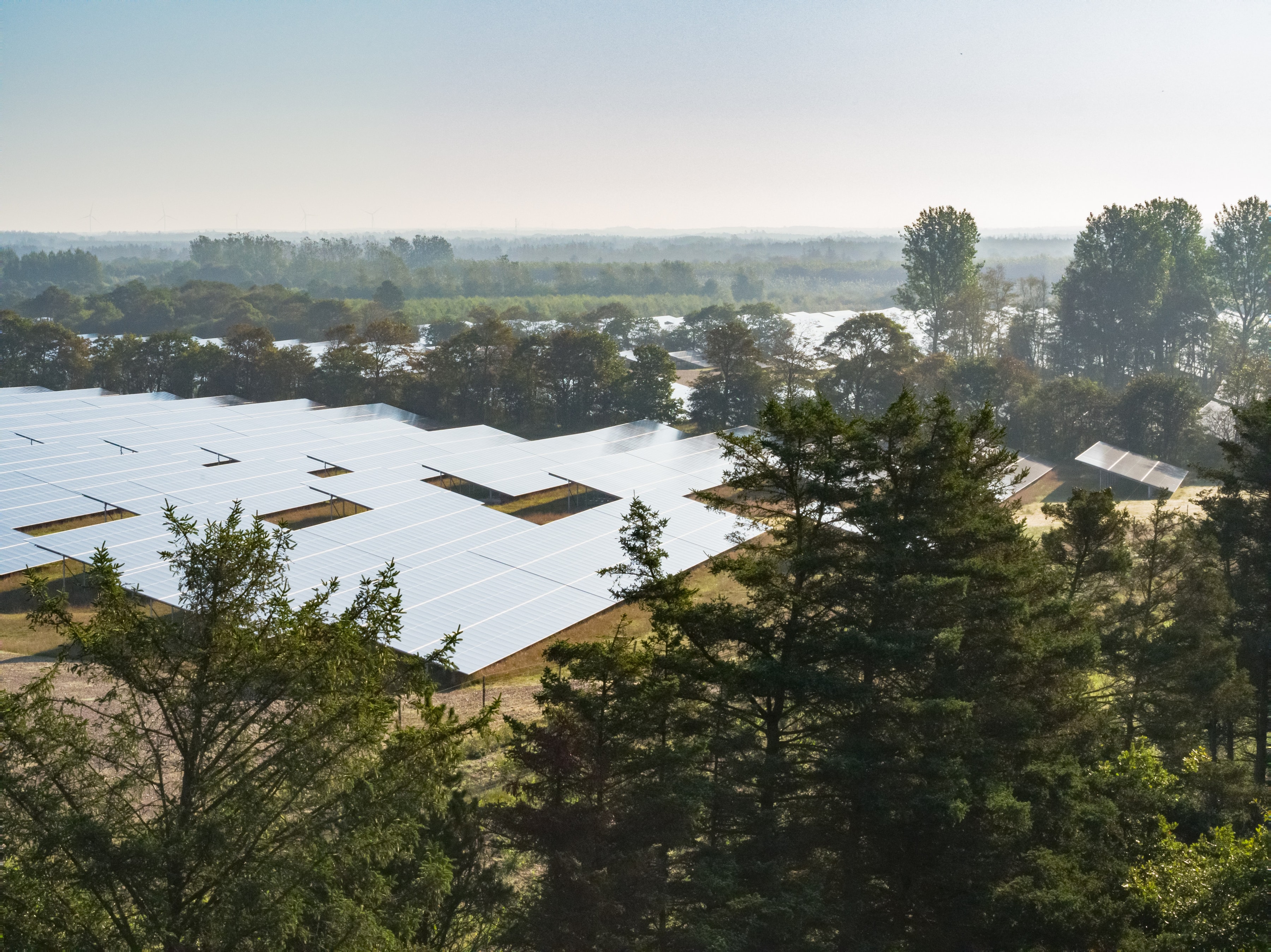 Image of solar park