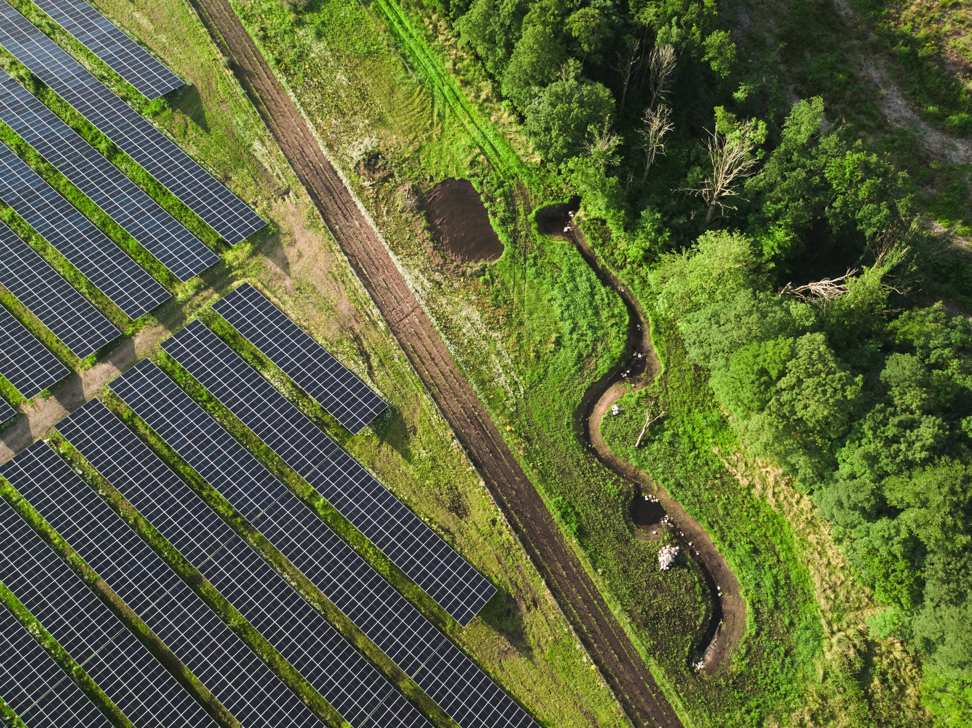 Image of solar park from above