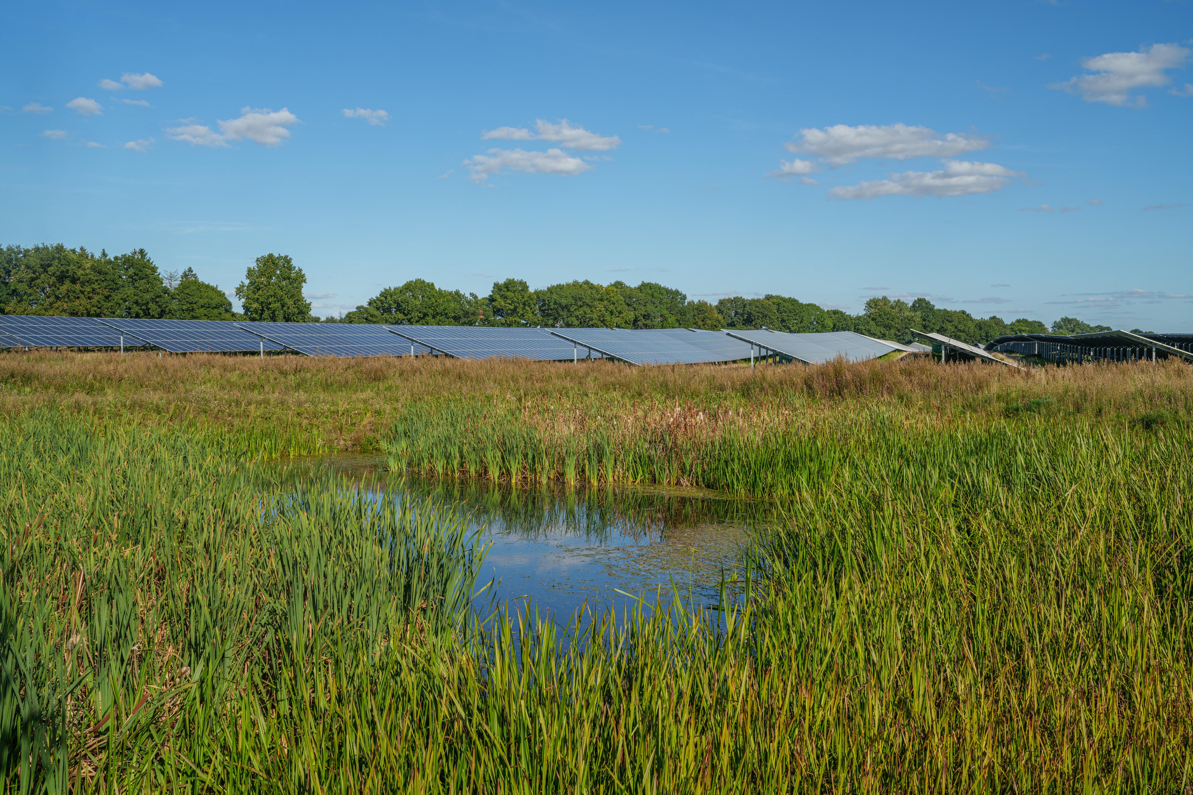 Image of solar park